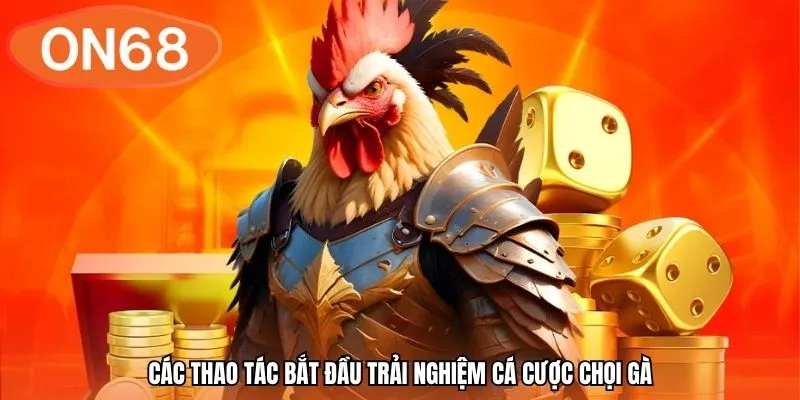 Các thao tác bắt đầu trải nghiệm cá cược chọi gà